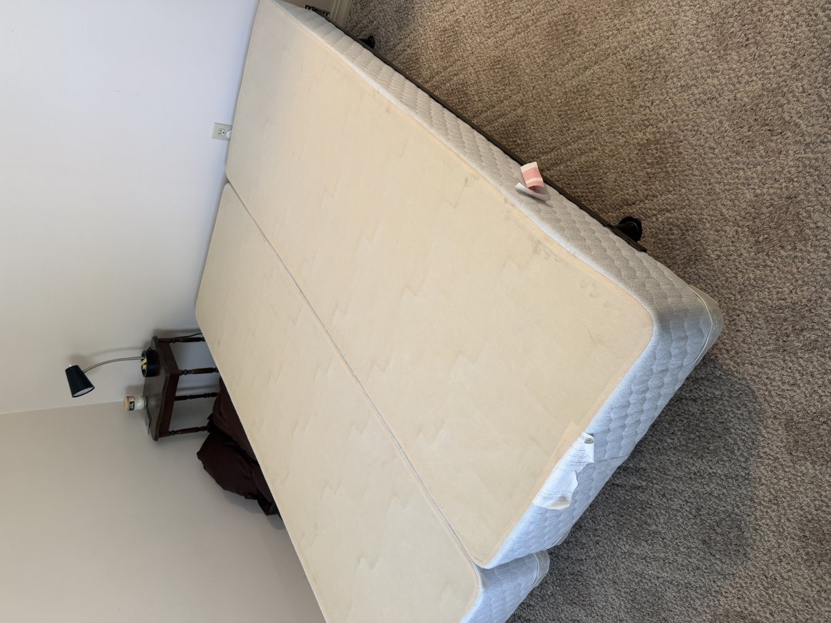 FREE - Queen Bed Frame & Box Spring