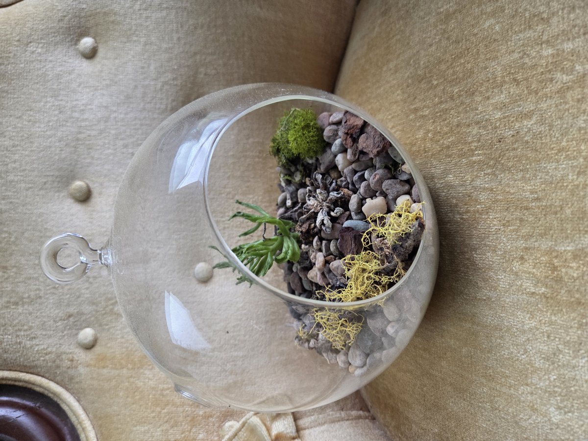 Glass globe planter