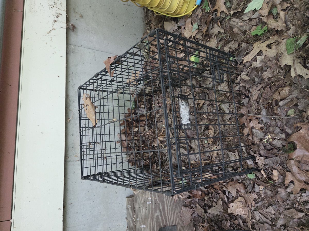 Small animal crate