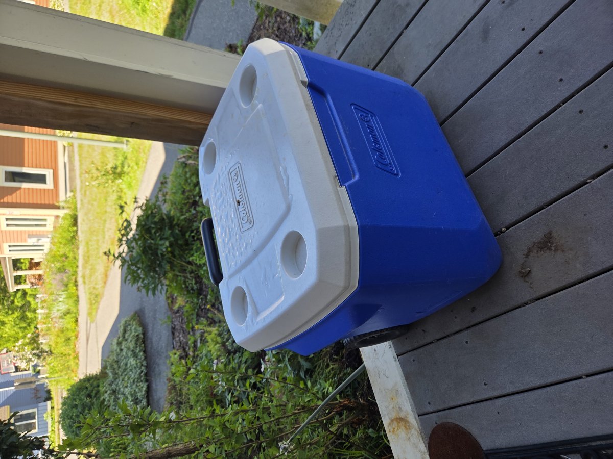 Coleman cooler