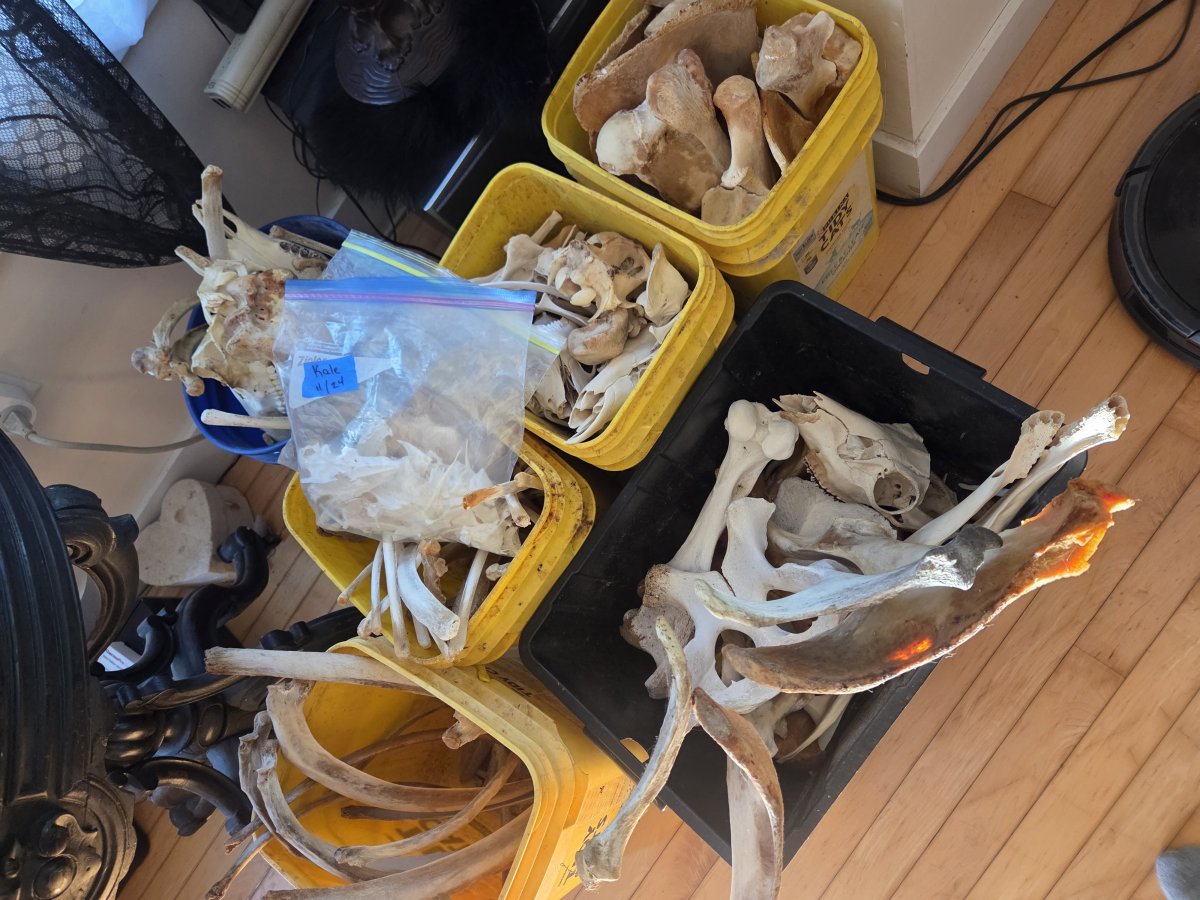 So many bones